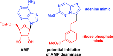 Graphical abstract: Synthesis of 3-(carboxyarylalkyl)imidazo[2,1-f][1,2,4]triazines as potential inhibitors of AMP deaminase