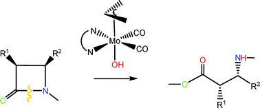 Graphical abstract: Ring opening at N1–C2 bond of azetidin-2-ones by a molybdenum hydroxo-carbonyl complex: evidence from a computational study