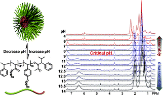 Graphical abstract: Aqueous-only, pH-induced nanoassembly of dual pKa-driven contraphilic block copolymers