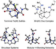 Graphical abstract: The effects of hydrogen bonds on metal-mediated O2activation and related processes