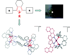 Graphical abstract: π-Conjugated phosphole derivatives: synthesis, optoelectronic functions and coordination chemistry