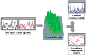 Graphical abstract: Spectroscopic diagnosis of laryngeal carcinoma using near-infrared Raman spectroscopy and random recursive partitioning ensemble techniques