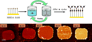 Graphical abstract: The controlled growth of oriented metal–organic frameworks on functionalized surfaces as followed by scanning force microscopy