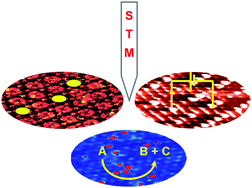 Graphical abstract: Structure and function revealed with submolecular resolution at the liquid–solid interface