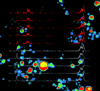 Graphical abstract: The influence of X-ray coherence length on TXRF and XSW and the characterization of nanoparticles observed under grazing incidence of X-rays