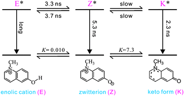 Graphical abstract: Excited-state proton-transfer dynamics of 1-methyl-6-hydroxyquinolinium embedded in a solid matrix of poly(2-hydroxyethyl methacrylate)