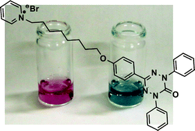 Graphical abstract: Association-mediated chromism of amphiphilic triphenyl-6-oxoverdazyl
