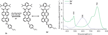 Graphical abstract: Amino-substituted rylene dicarboximides and their quinoidal charge delocalization after deprotonation