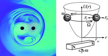 Graphical abstract: The dependence between forces and dissipation rates mediating dynamic self-assembly