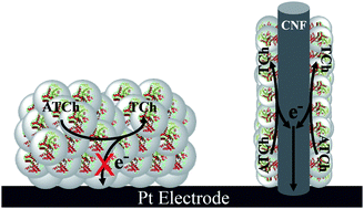 Graphical abstract: Spectro-electrochemical studies of acetylcholinesterase in carbon nanofiber-bioinspired silica nanocomposites for biosensor development
