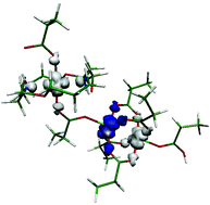 Graphical abstract: Azacrown ether–copper(ii)–hexanoate complexes. From monomer to 1-D metal organic polymer