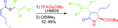 Graphical abstract: Synthesis of highly substituted pyroglutamates via a domino Michael addition–Claisen rearrangement–lactamisation approach