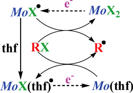 Graphical abstract: Electrocatalytic reduction of organohalides mediated by the dihalo-molybdenum phosphinic complexes trans-[MoX2(Ph2PCH2CH2PPh2)2] (X = I, Br)—A mechanistic study by cyclic voltammetry digital simulation