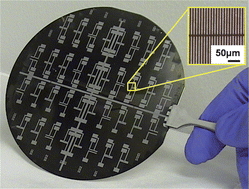 Graphical abstract: Nanostructured biosensing platform—shadow edge lithography for high-throughput nanofabrication