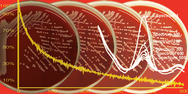 Graphical abstract: A novel approach to correct variations in Raman spectra due to photo-bleachable cellular components