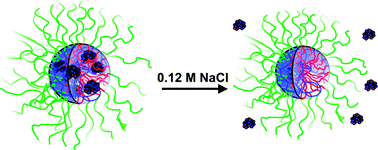 Graphical abstract: Salt-induced release of lipase from polyelectrolyte complex micelles