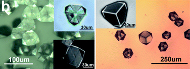 Graphical abstract: Effects of chitosan on the alignment, morphology and shape of calcite crystals nucleating under Langmuir monolayers