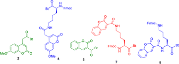Graphical abstract: Fluorescent labeling of peptides on solid phase