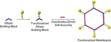 Graphical abstract: Coordination-driven self-assembly of functionalized supramolecular metallacycles