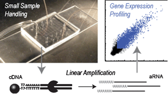 Graphical abstract: T7-based linear amplification of low concentration mRNA samples using beads and microfluidics for global gene expression measurements