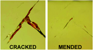 Graphical abstract: A thermally remendable epoxy resin