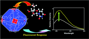 Graphical abstract: A truncated octahedral nanocage for fluorescent detection of nucleoside