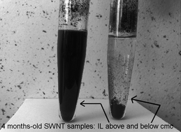 Graphical abstract: Disaggregation of single-walled carbon nanotubes (SWNTs) promoted by the ionic liquid-based surfactant 1-hexadecyl-3-vinyl-imidazolium bromide in aqueous solution