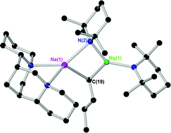 Graphical abstract: Isolation and characterisation of a (−)-sparteine coordinated mixed alkyl/amido sodium magnesiate, a chiral variant of an important utility ate base