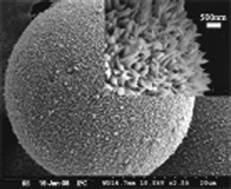 Graphical abstract: Facile synthesis of urchin-like glass/nickel core/shell composite hollow spheres