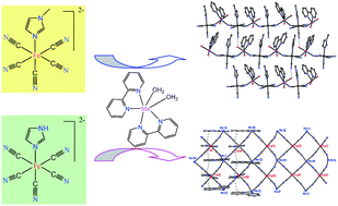 Graphical abstract: Ligand-directed assembly of cyanide-bridged bimetallic MnIIFeIII coordination polymers based on the pentacyanoferrite(III) building blocks