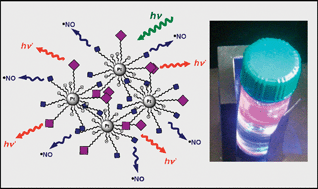 Graphical abstract: Bifunctional nanoparticle assemblies: photoluminescent and nitric oxide photodelivering monolayer protected platinum clusters