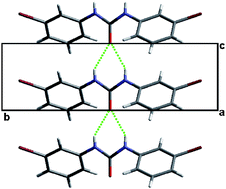 Graphical abstract: Halogen/methyl exchange in a series of isostructural 1,3-bis(m-dihalophenyl)ureas