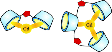 Graphical abstract: New cyclodextrin dimers and trimers capable of forming supramolecular adducts with shape-specific ligands