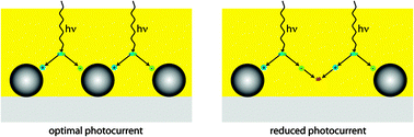 Graphical abstract: Exciton diffusion controlled quantum efficiency in hybrid dye sensitized solar cells