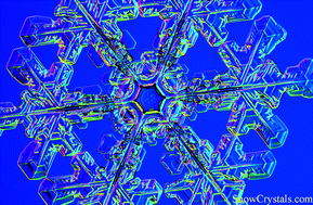 Graphical abstract: Water at interfaces