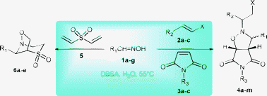 Graphical abstract: A green chemical approach for the N-alkylation of aldoximes to form nitrones in organized aqueous media and their in situcycloaddition with olefins