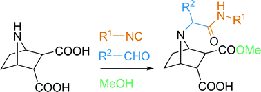 Graphical abstract: A novel intramolecular Ugi reaction with 7-azabicyclo[2.2.1]heptane derivatives followed by post-condensation acylations: a new entry to azanorbornyl peptidomimetics