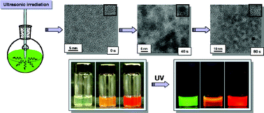 Graphical abstract: Sonication treatment of CdTe/CdS semiconductor nanocrystals and their bio-application