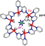 Graphical abstract: A unique chair-shaped hexanuclear Cu(I) metallamacrocyclic C2H4 adduct encapsulating a BF4− anion