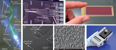 Graphical abstract: Innovations in optical microfluidic technologies for point-of-care diagnostics