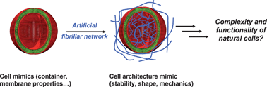 Graphical abstract: Self-assembly approaches for the construction of cell architecture mimics