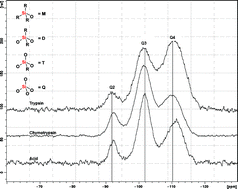 Graphical abstract: Enzyme-mediated sol–gel processing of alkoxysilanes