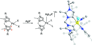 Graphical abstract: Palladation of diimidazolium salts at the C4 position: access to remarkably electron-rich palladium(ii) centers