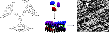 Graphical abstract: Self-assembly of corrole trimers in solution and at the solid–liquid interface