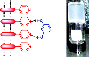 Graphical abstract: Molecular recognition through divalent interactions with a self-assembled fibrillar network of a supramolecular organogel