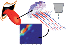 Graphical abstract: Imaging mass spectrometry using chemical inkjet printing reveals differential protein expression in human oral squamous cell carcinoma