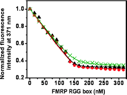 Graphical abstract: Fragile X mental retardation protein recognition of G quadruplex structure per se is sufficient for high affinity binding to RNA