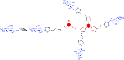 Graphical abstract: Probing multivalency for the inhibition of an enzyme: glycogen phosphorylase as a case study