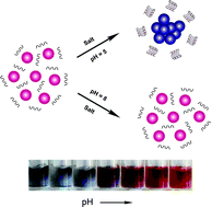 Graphical abstract: A simple and sensitive colorimetric pH meter based on DNA conformational switch and gold nanoparticle aggregation