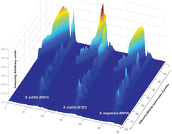 Graphical abstract: Discrimination of bacteria using pyrolysis-gas chromatography-differential mobility spectrometry (Py-GC-DMS) and chemometrics